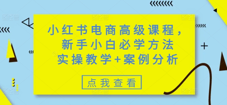 小红书电商高级课程，新手小白必学方法，实操教学+案例分析-花小钱干大事